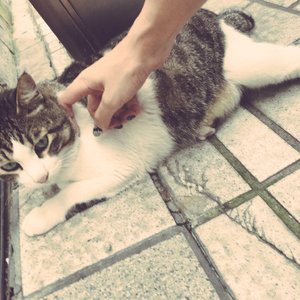 日本娇小白嫩HD
